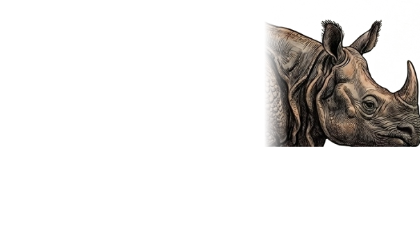 The One-Horned Rhino Head & Horn